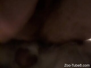 Zoophile reaches orgasm during wild zoo sex