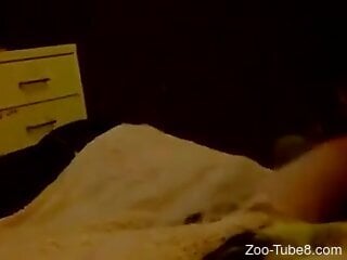 Hot bestiality is taking place inside the bedroom