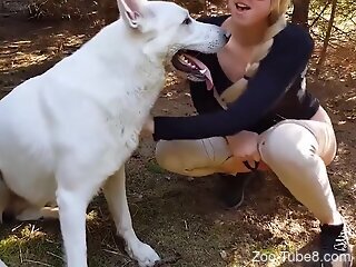 Naughty chicks love giving blowjobs during zoo sex