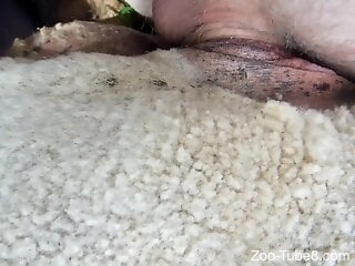 Zoophile cannot stop that stunning bestiality scene