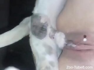 Tight female gets creamed by the dog after serious animal sex