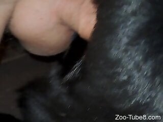 Aroused man fulfills his sexual needs by fucking his dog