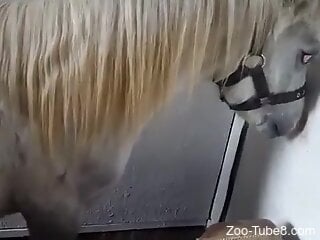 Man fist fucks horse in the pussy and fulfills his dirty desires