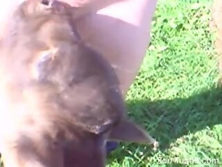 Naked man lets curious veal lick his cock until ejaculation